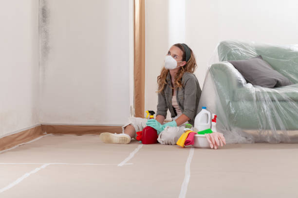 Reliable Black Mold Remediation contractor in Belmont, NC by Car Mold Remediation
